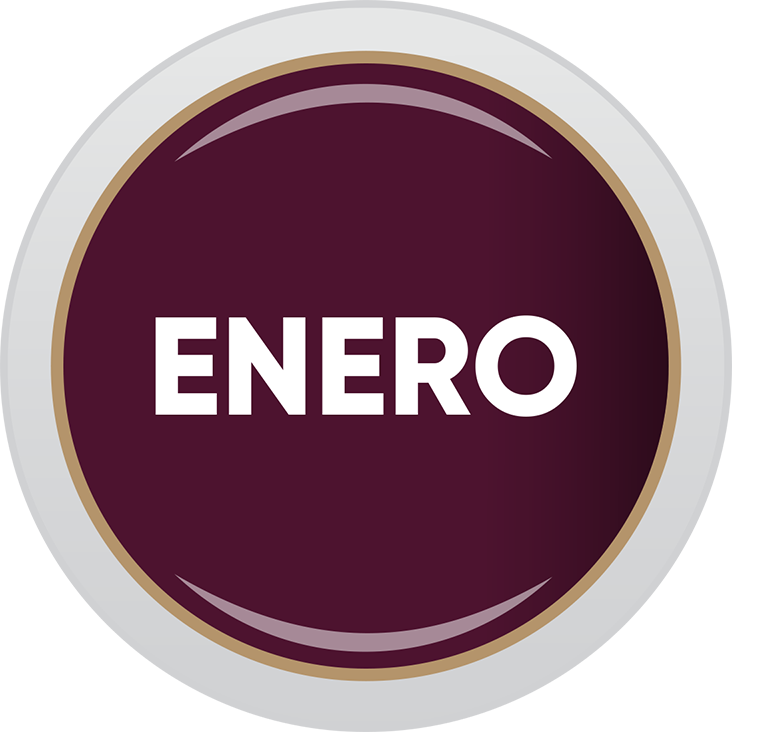 Boletín Digital Enero 2025